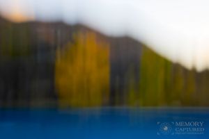Pan Blur cottonwood by lake-c99.jpg
